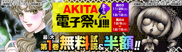 AKITA電子祭　冬の陣